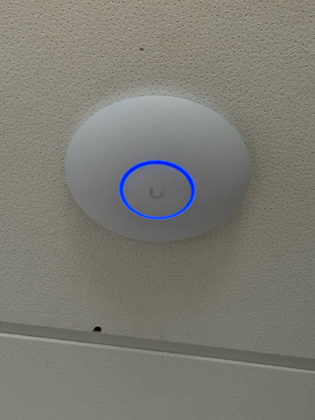 Wifi-accesspoint met blauwe statusring, strak gemonteerd aan een kantoorplafond.