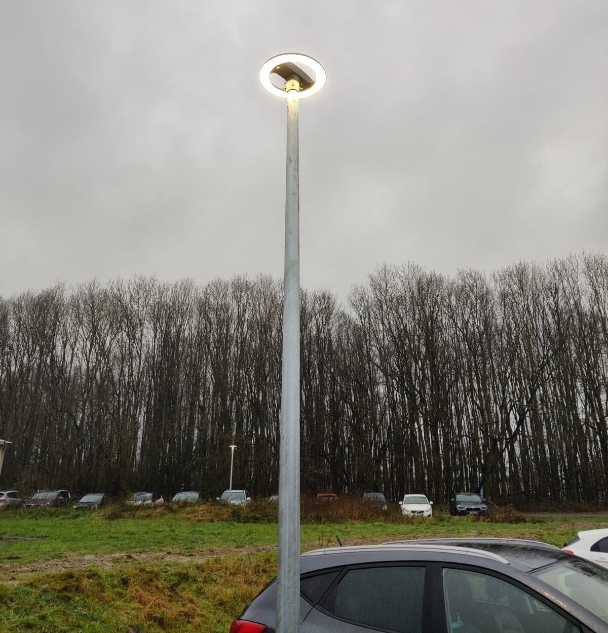 Nieuwe lichtmast met rond LED-armatuur boven een parkeerveld aan de bosrand.