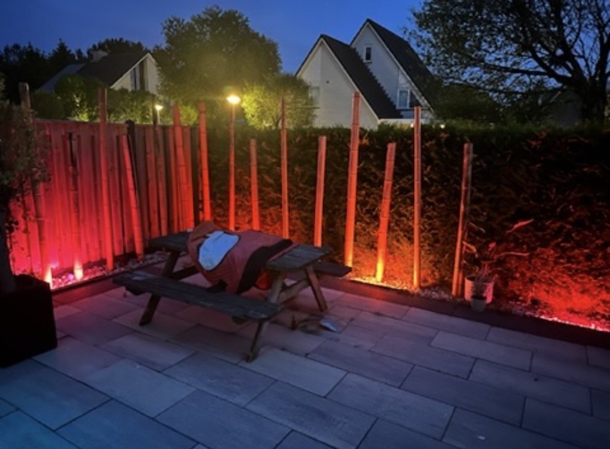 Terras in de avond met gekleurde uplighters langs bamboestammen, schutting en haag.